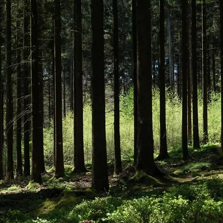 In St Vith With Hot Tub Amelscheid