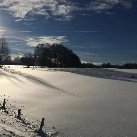 In St Vith With Hot Tub Holiday home